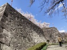 Morioka Castle Ruins