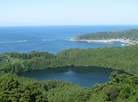 Hachibodai
