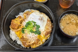 Katsudon