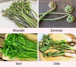 Warabi, Zenmai, Seri, Udo