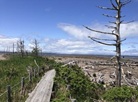 Notsuke Peninsula