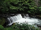 Sakura Falls