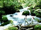 Oirase Stream