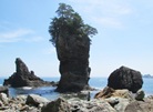 Taro district