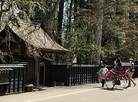 Kakunodate town
