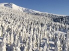 Mount Zao
