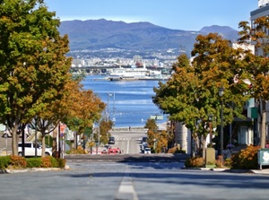 Hakodate city