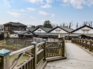 Sakata city