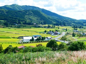 Toono town