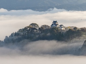 Echizen-Ono Castle