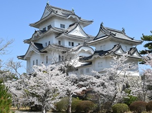 Iga-Ueno Castle