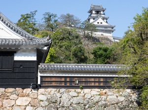 Kochi Castle
