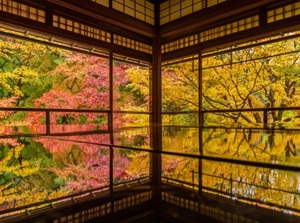 View of the garden in Ruriko-in