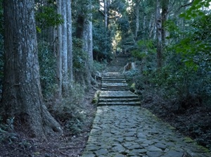 Kumano Kodo