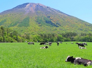 Mount Daisen