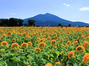 Mount Tsukuba