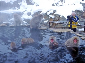 Jigokudani Yaen-Koen