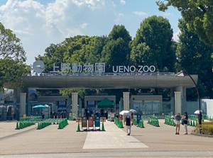 Ueno Zoo