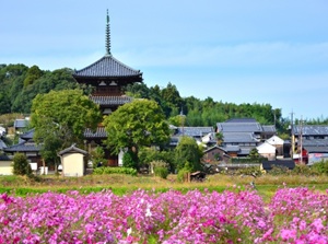Hokiji temple