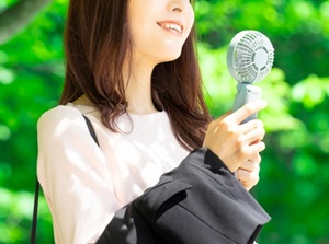 Handy Fan
