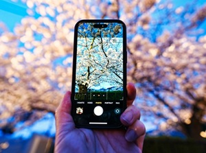 Mobile telephone