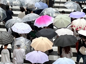 Umbrella