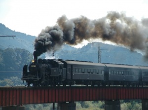 Train of Oigawa Railway