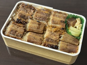Anago-meshi