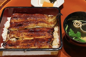 Unaju