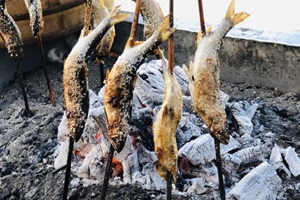 Shioyaki of sweetfish