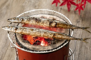 Shioyaki of saury