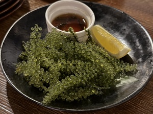 Umi-budo