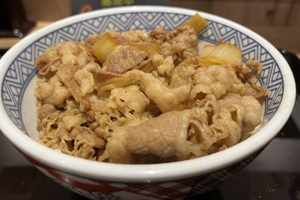 Gyudon