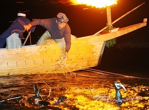 Ukai in Nagara River
