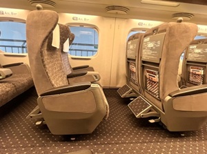Seat in a Green Car